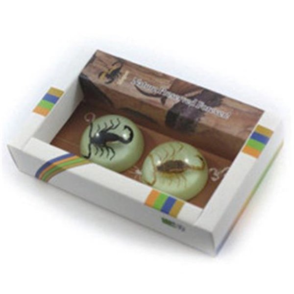 Ed Speldy East Ed Speldy East MT3802 2PC Magnet set with Real Scorpion in Acrylic MT3802